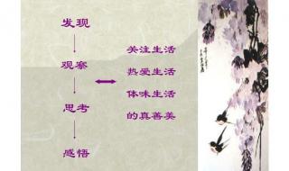 紫藤萝瀑布课文笔记