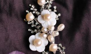 施华洛世奇胸针 施华洛世奇胸针