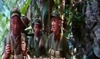 自卫反击战电影大全