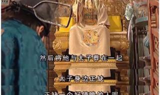 杨颖疯马秀 杨颖疯马秀