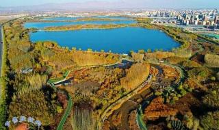 张掖国家湿地公园 张掖国家湿地公园