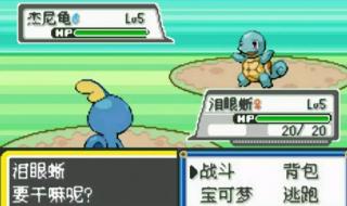 口袋妖怪绿宝石代码 口袋妖怪绿宝石代码