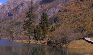 四川四姑娘山在哪里 四川四姑娘山在哪里