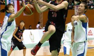 2013男篮亚锦赛冠军